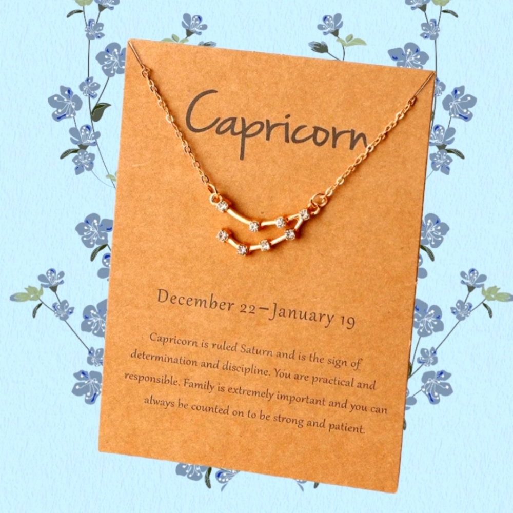 Capricorn Zodiac Necklace